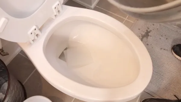 How to Flush Automatic Toilet Manually: 3 Ways to Follow