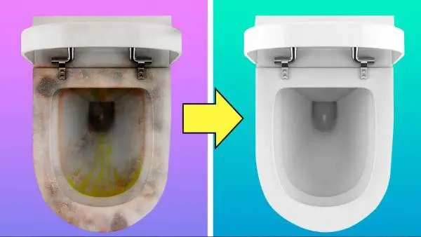 How to Remove Black Spots From a Toilet Bowl?