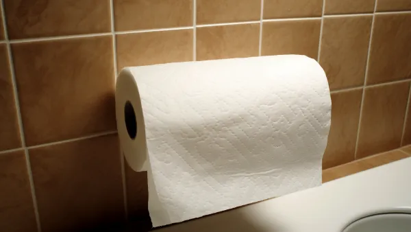 What happens if you use paper towels as toilet paper