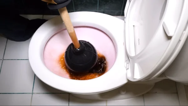 What To Do When Poop Is Stuck In Toilet