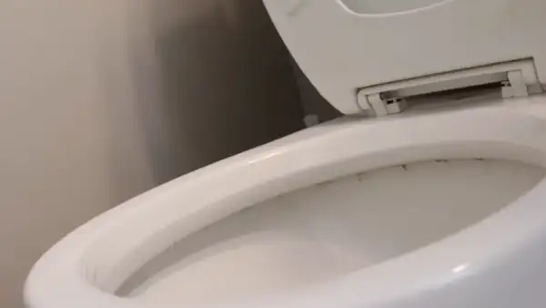 Why Does My Toilet Bowl Turn Black: Potential Reasons