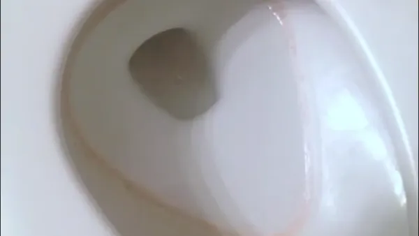 Why Is My Toilet Seat Turning Pink: Reasons and Solutions