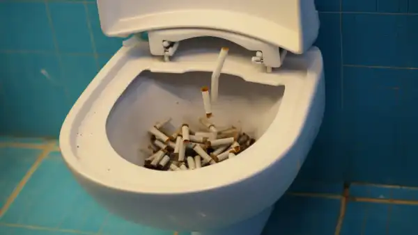 Why Should You Not Flush Cigarettes in the Toilet
