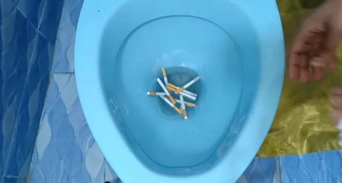 can you flush cigarettes