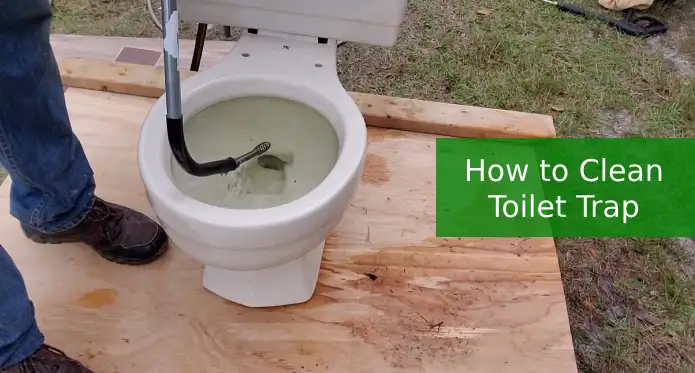 how to clean toilet trap