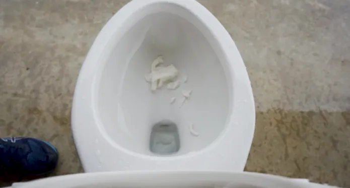 How to Dissolve Paper Towel in Toilet: 8 Methods to Clear Clogs