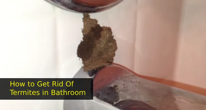 How to Get Rid of Termites in Bathroom: 5 Proven Methods [Explained]