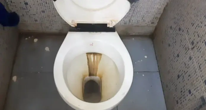 Why Does My Toilet Bowl Turn Black: 6 Key Reasons