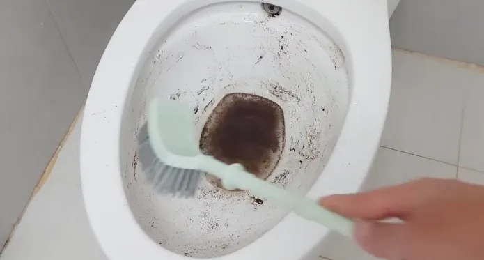 why does toilet get dirty so fast