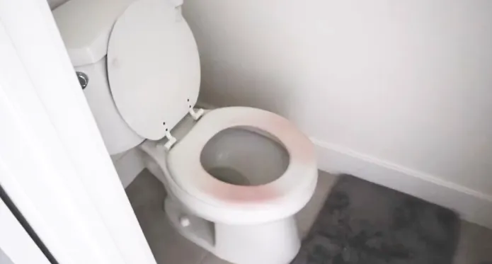 Why Is My Toilet Seat Turning Pink 5 Reasons