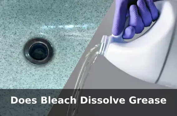 Does Bleach Dissolve Grease: 4 Reasons Why Not